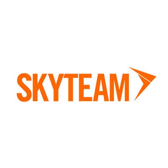 Logo Skyteam